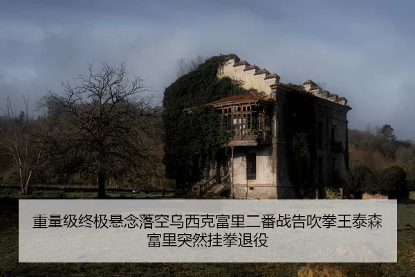 重量级终极悬念落空乌西克富里二番战告吹拳王泰森富里突然挂拳退役